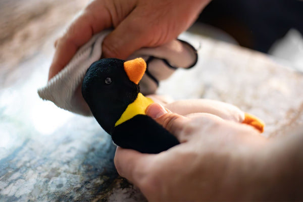 Hands gently spot cleaning a Beanie Baby penguin with a soft cloth.