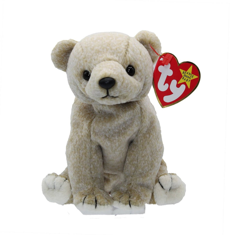 Almond the Bear reference photo