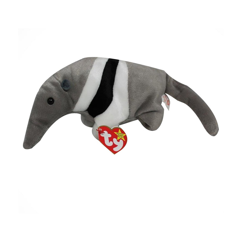 Ants the Anteater reference photo