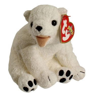 Aurora the Polar Bear reference photo