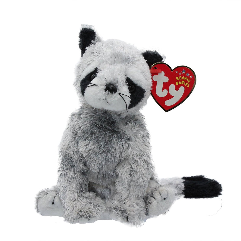 Bandito the Raccoon reference photo