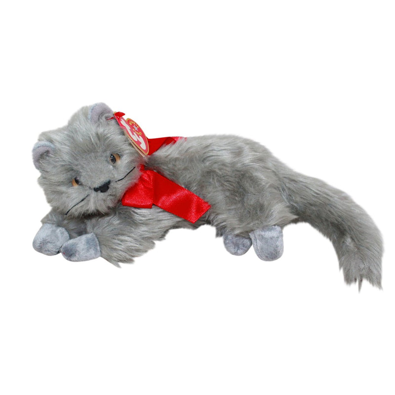 Beani the Cat reference photo