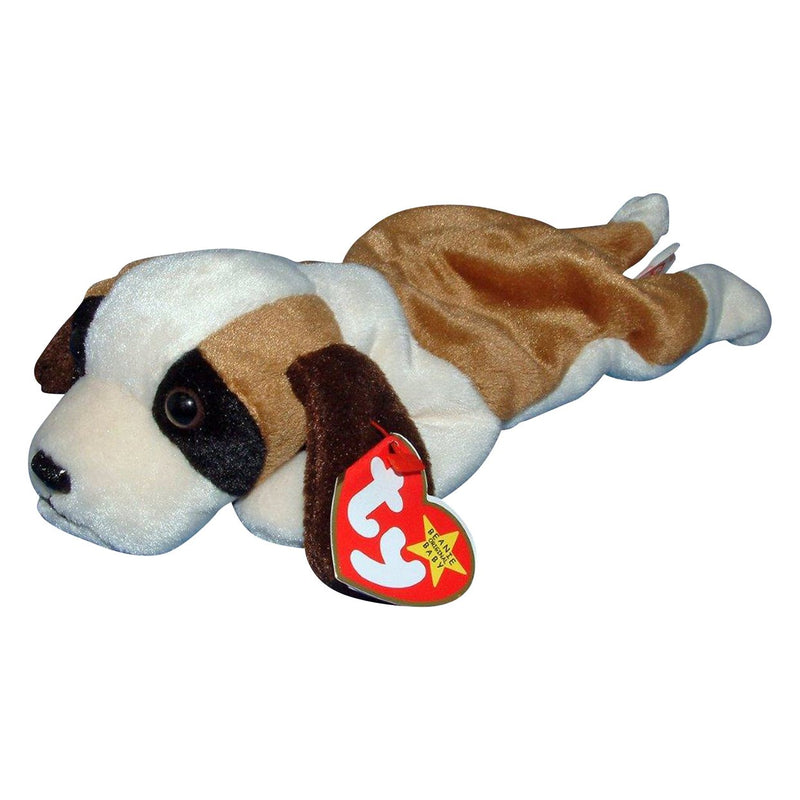 Bernie the St Bernard reference photo