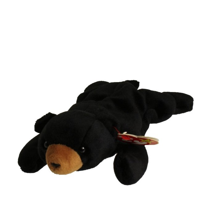 Blackie the Bear reference photo