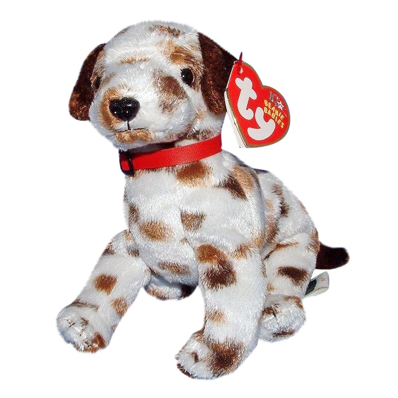 Bo the Dalmatian reference photo