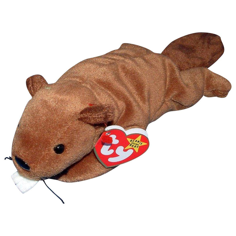 Bucky the Beaver reference photo