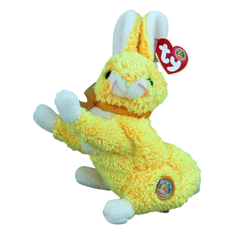 Buttercream the Bunny reference photo
