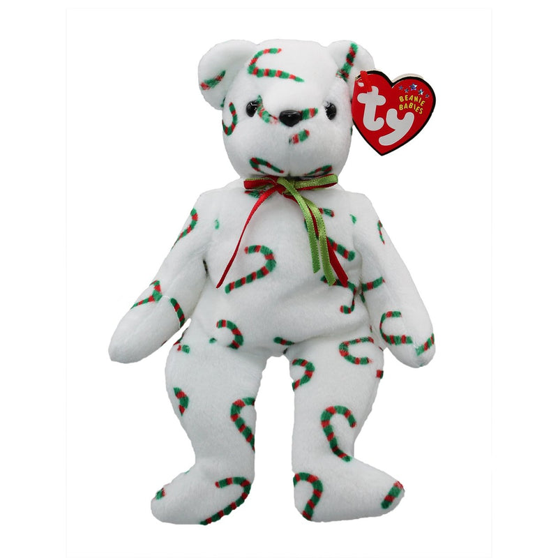 CAND-e the Bear reference photo