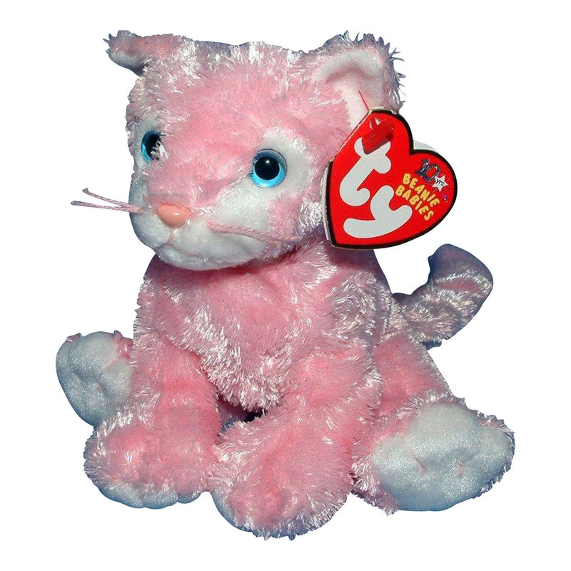 Carnation the Cat reference photo