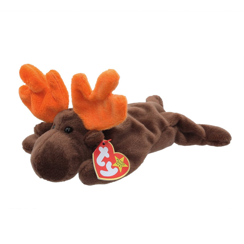 Chocolate the Moose reference photo
