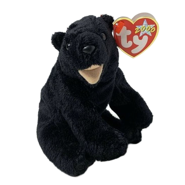 Cinders the Bear reference photo