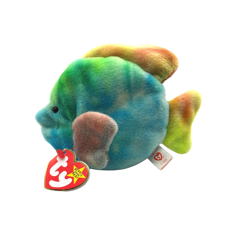 Coral the Fish reference photo