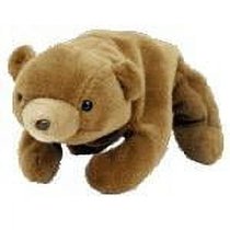 Cubbie the Bear reference photo