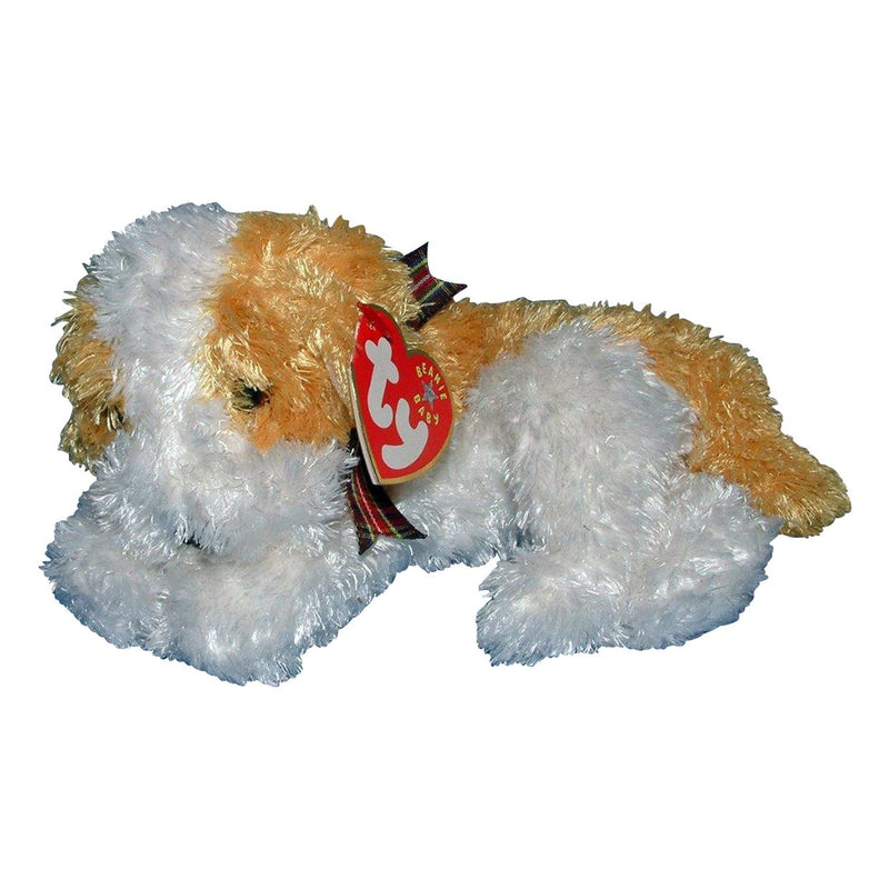 Darling the Dog reference photo