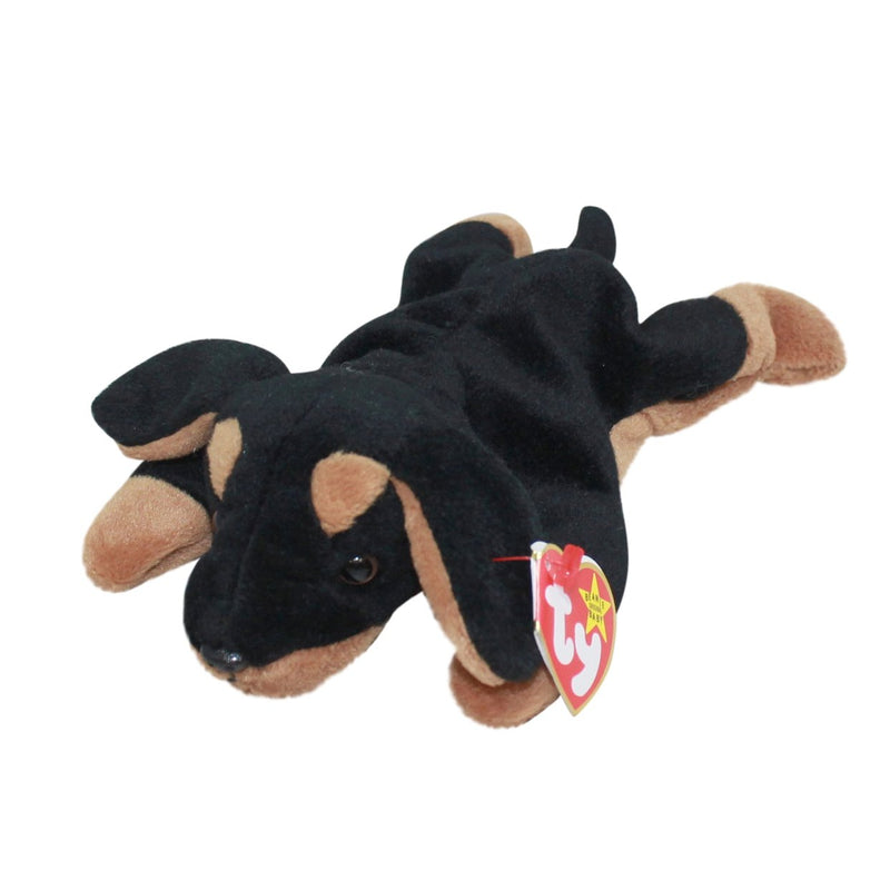 Doby the Doberman Pinscher reference photo