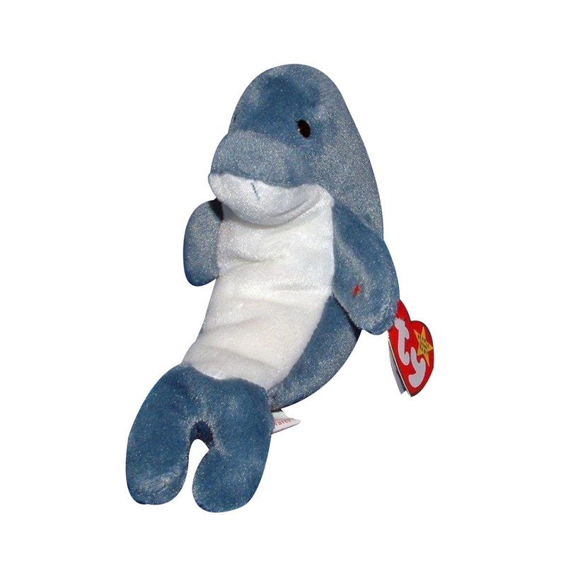 Echo the Dolphin reference photo