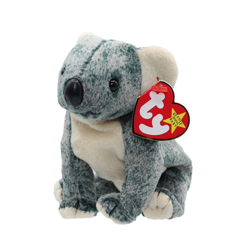 Eucalyptus the Koala reference photo
