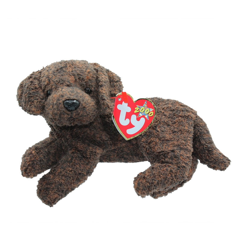 Fetcher the Labrador reference photo