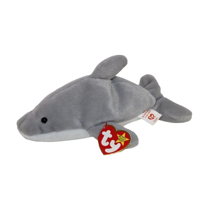 Flash the Dolphin reference photo