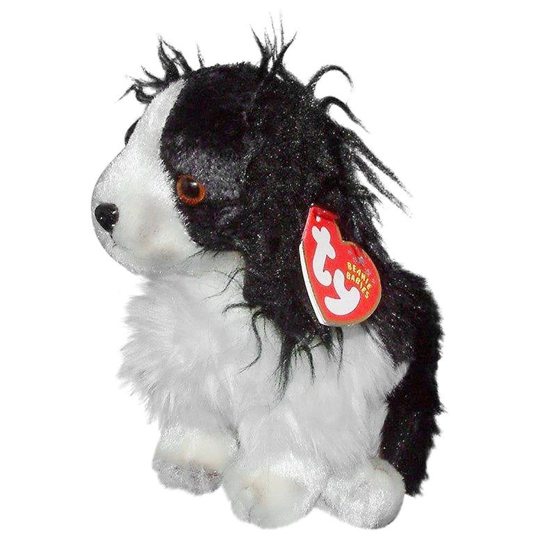 Frolic the Dog reference photo