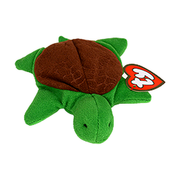 Speedy the Turtle reference photo