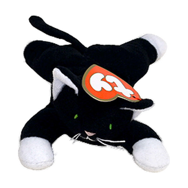 Zip the Cat reference photo