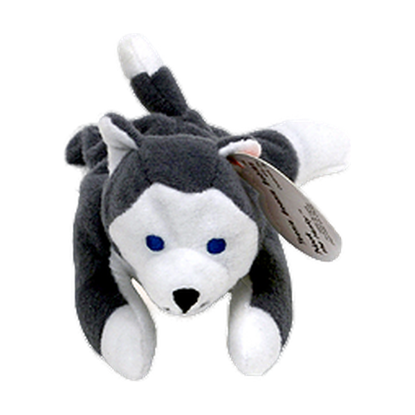 Nook the Husky reference photo