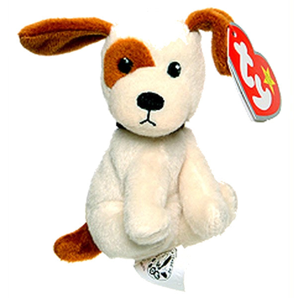 Boomer the Dog reference photo