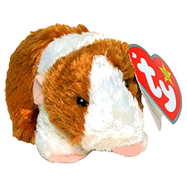 Fluffball the Hamster reference photo