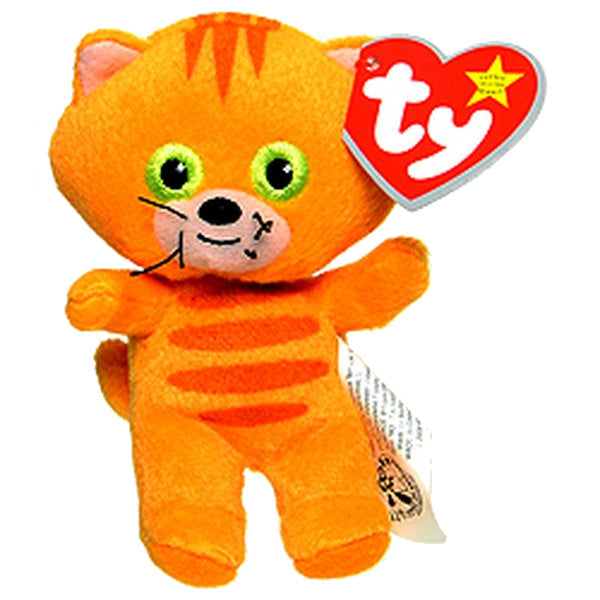Yammy the Cat reference photo