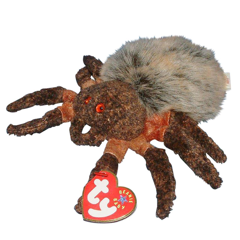 Hairy the Spider reference photo