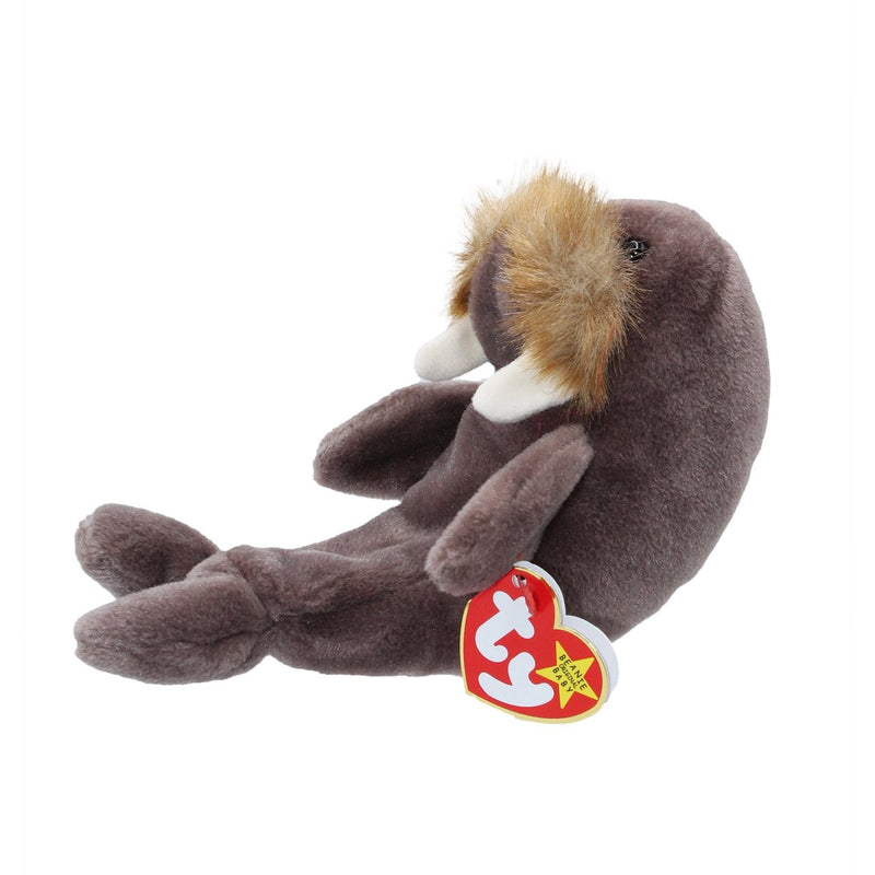 Jolly the Walrus reference photo