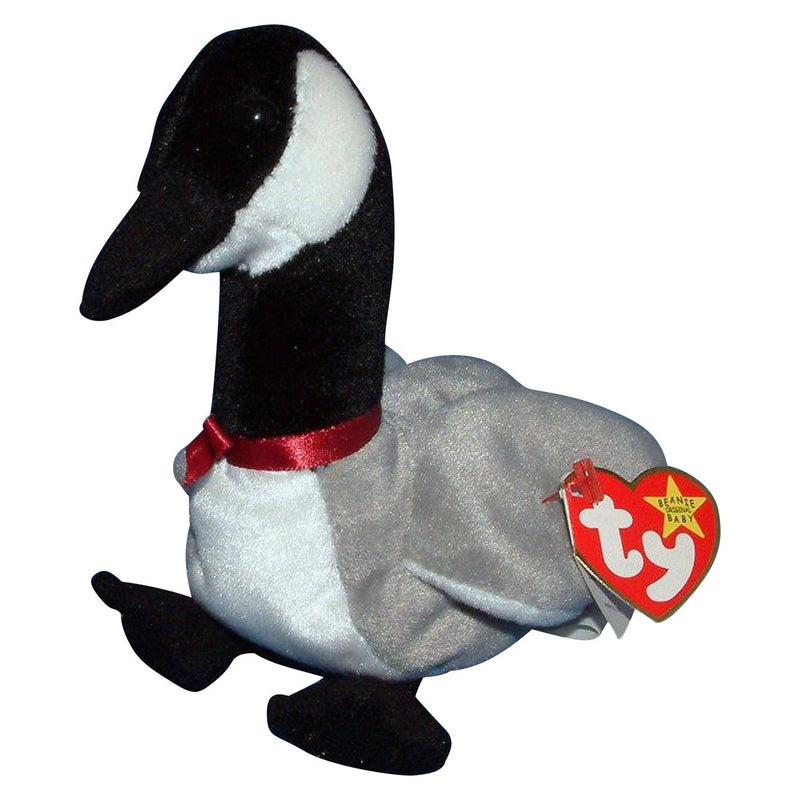 Loosy the Canadian Goose reference photo