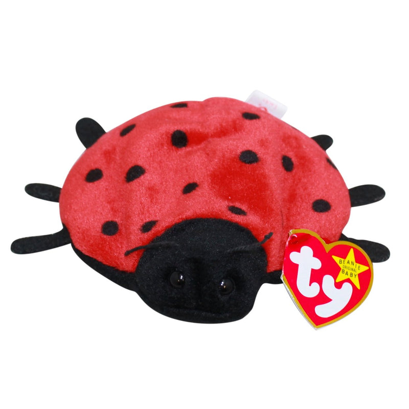 Lucky the Ladybug 21 Spot reference photo