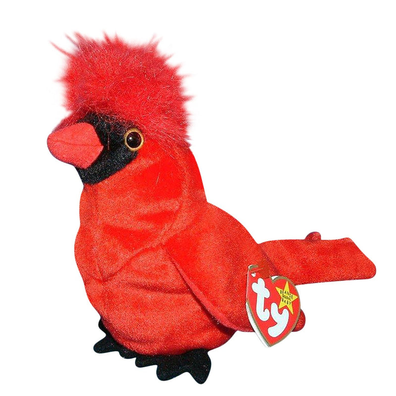 Mac the Cardinal reference photo