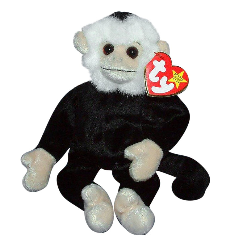 Mooch the Monkey reference photo