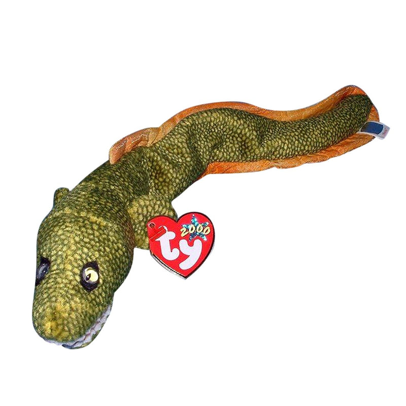 Morrie the Moray Eel reference photo