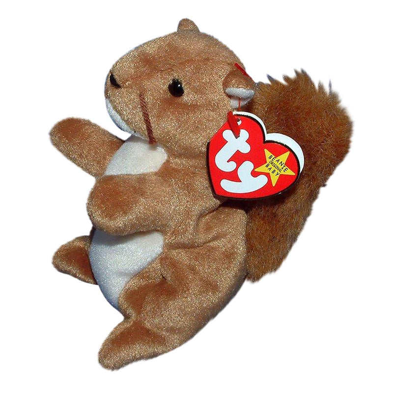 Nuts the Squirrel reference photo