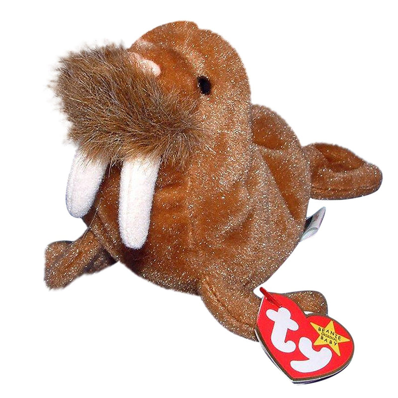 Paul the Walrus reference photo