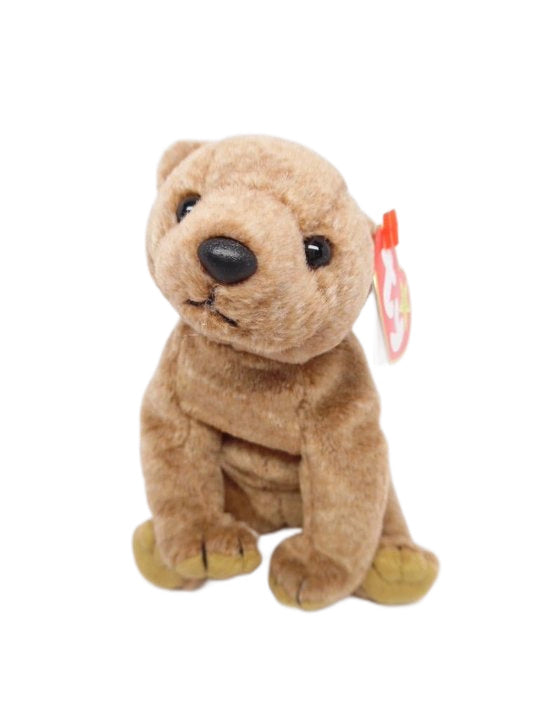 Pecan the Bear reference photo