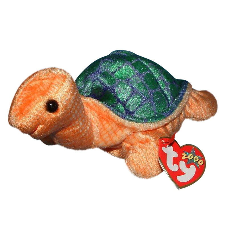 Peekaboo the Turtle reference photo