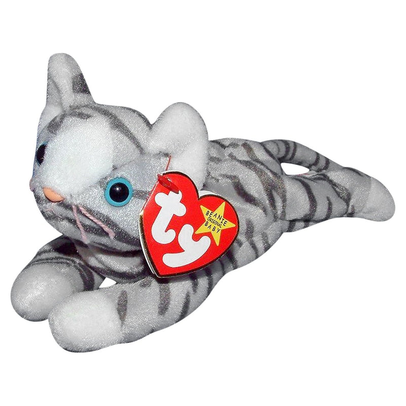 Prance the Cat reference photo