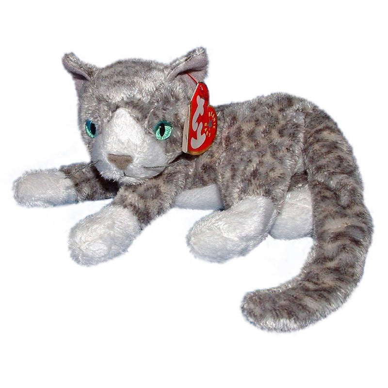 Purr the Cat reference photo