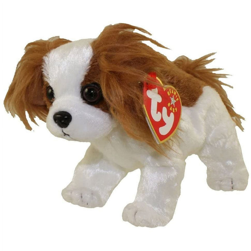 Regal the Dog reference photo