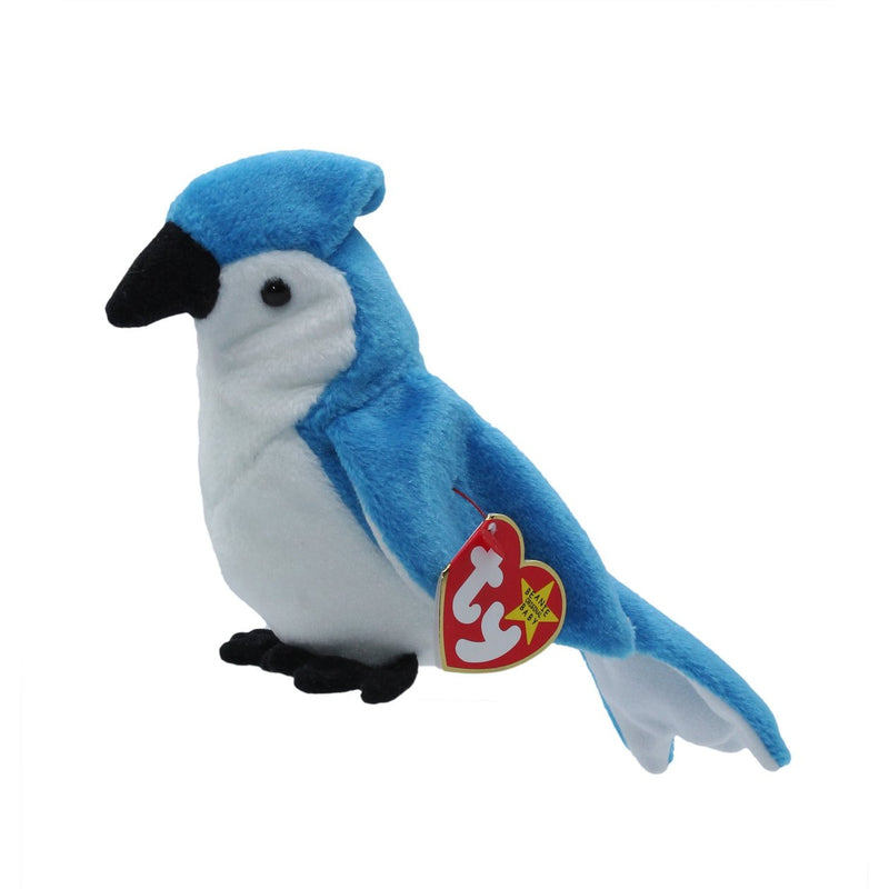 Rocket the Blue Jay reference photo