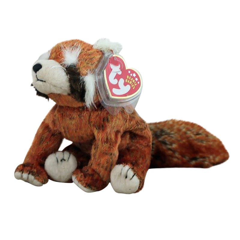 Rusty the Red Panda reference photo