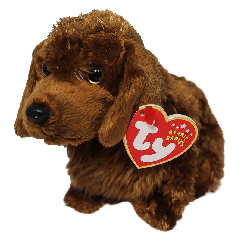 Seadog the Dog reference photo