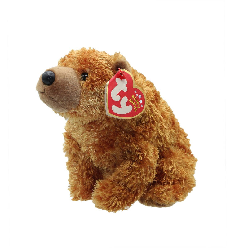 Sequoia the Bear reference photo