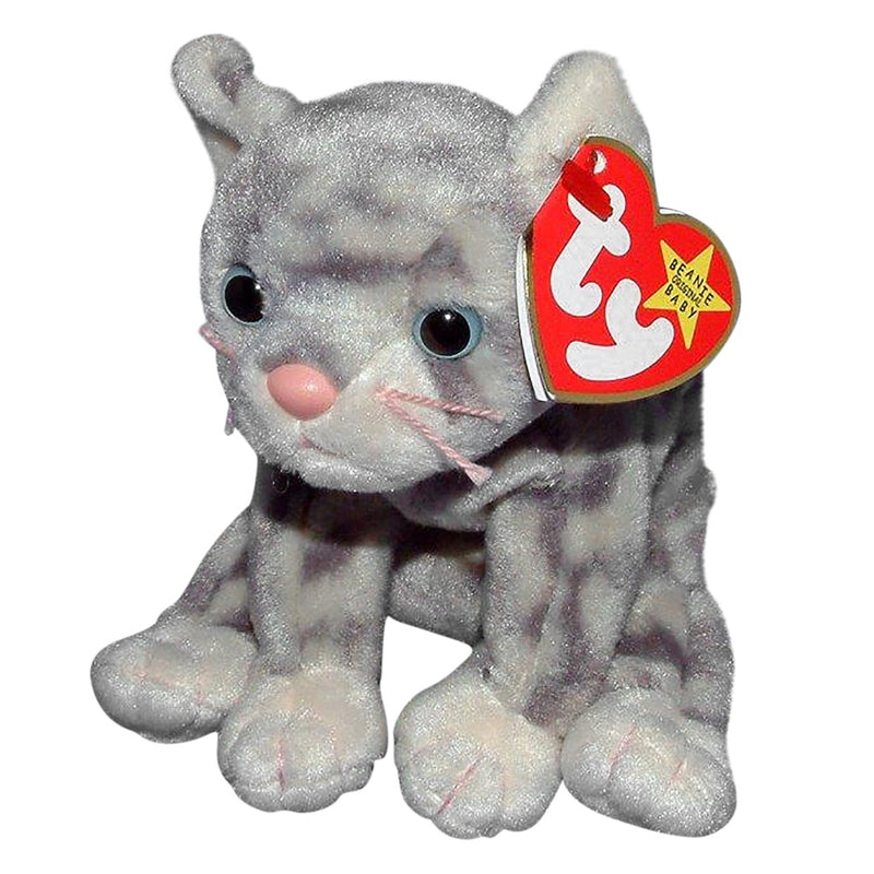 Silver the Cat reference photo