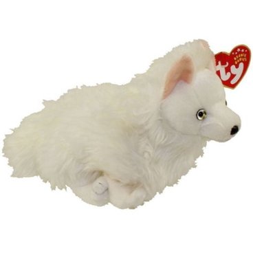 Snocap the Arctic Fox reference photo